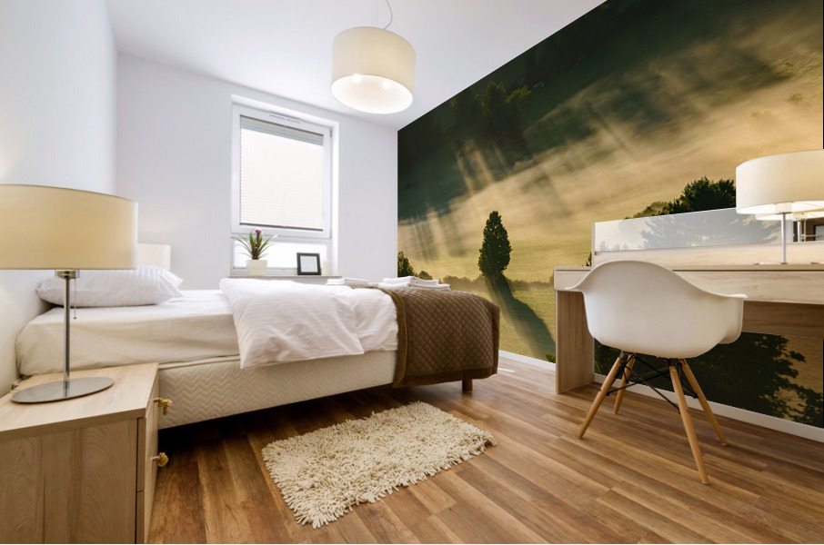 Alone in the Land Mural print
