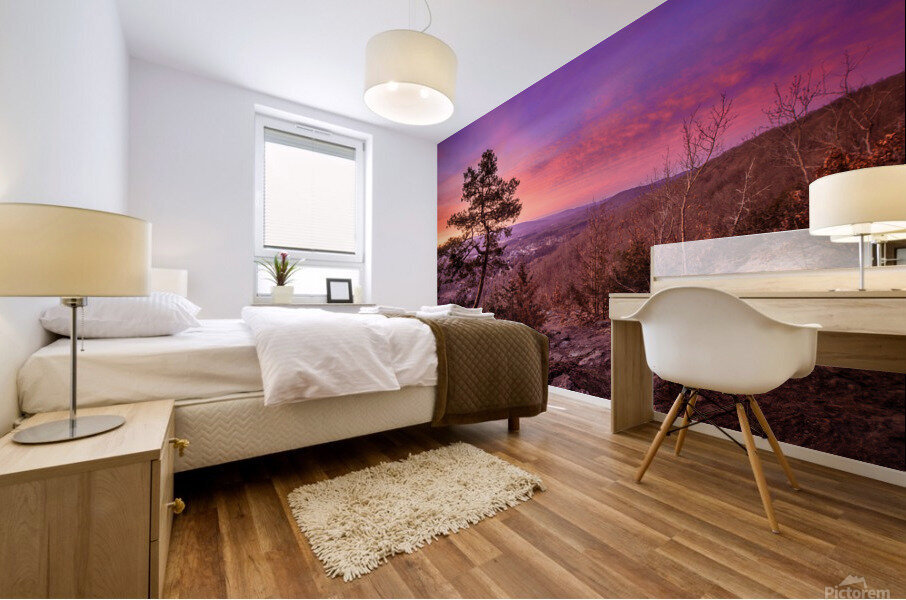 Fiery Sky Mural print