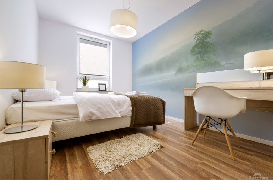 Island in the mist Mural print