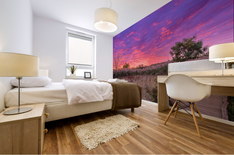 Fire in the Sky Mural print