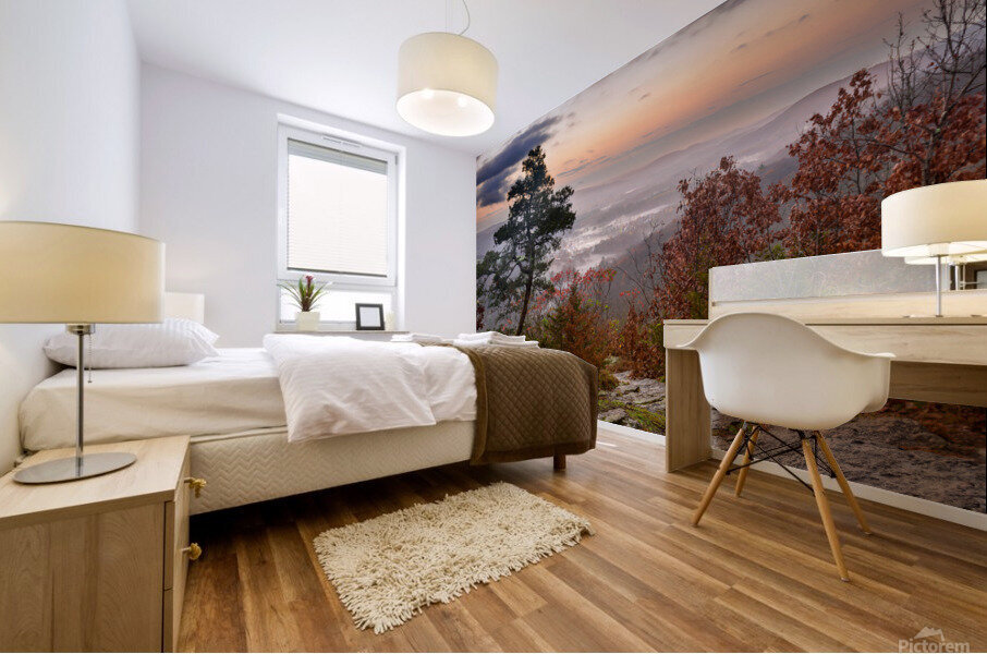 November Mornings Mural print