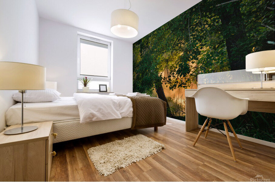 Morning Light Mural print