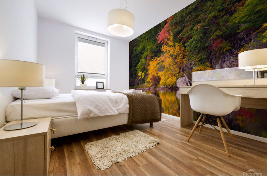 Nuclear Lake Mural print