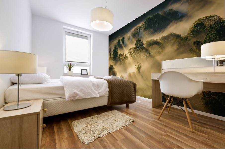 Patterns in the Mist 2 Mural print