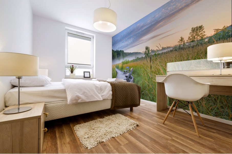 Night To Day Mural print