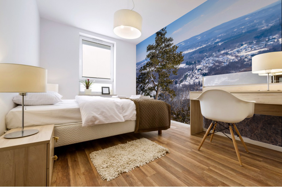 Winter Blues Mural print