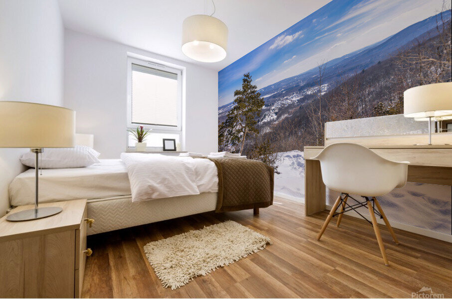 Winter Blues 2 Mural print