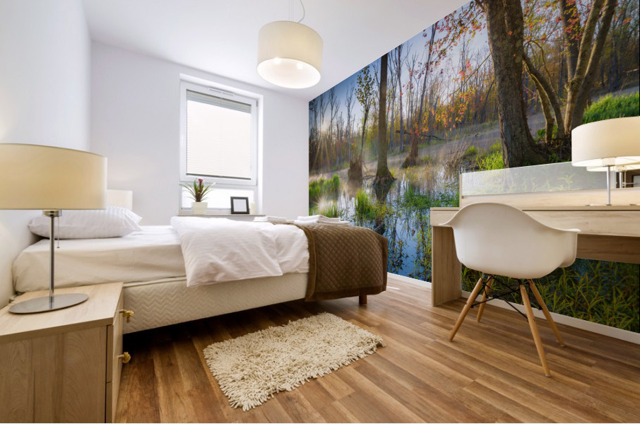 Sunbeams in the Swamp Mural print