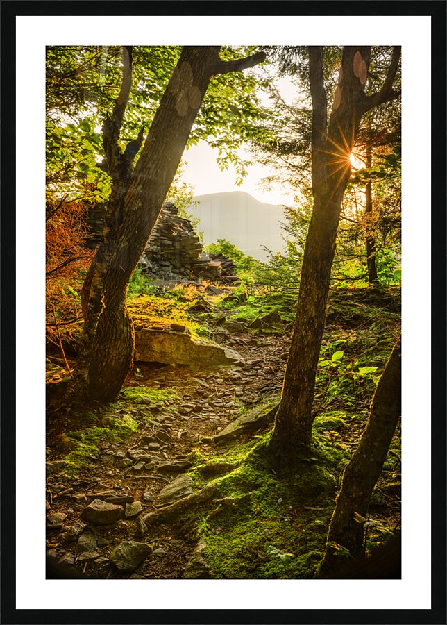 Let there be Light Picture Frame print