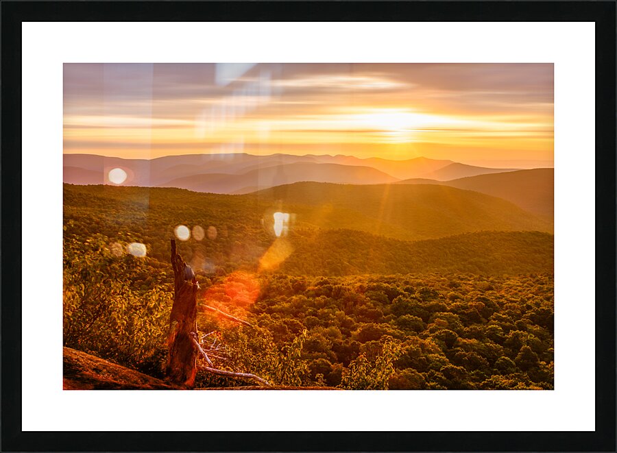 Sunburst Picture Frame print