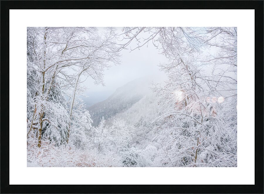 Narnia Picture Frame print