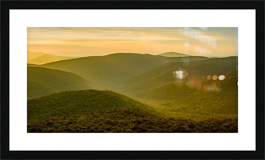 Evergreen Heart Picture Frame print
