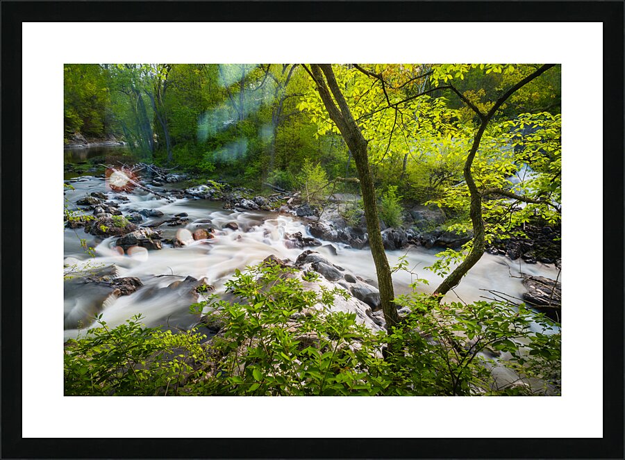 The Rapids Picture Frame print