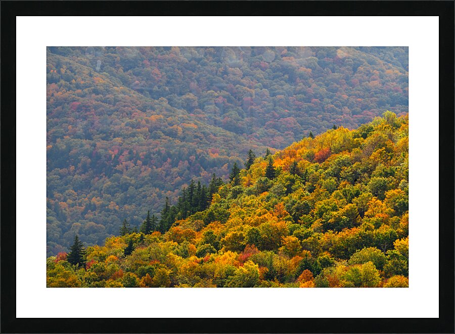 Fall in Spruceton Picture Frame print