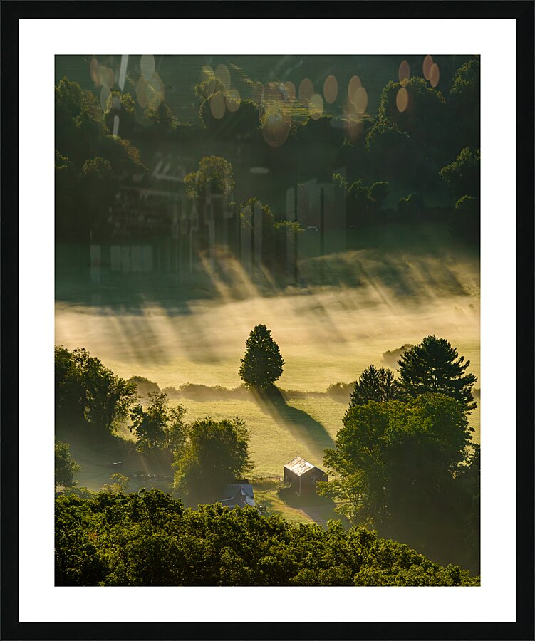 Alone in the Land Picture Frame print