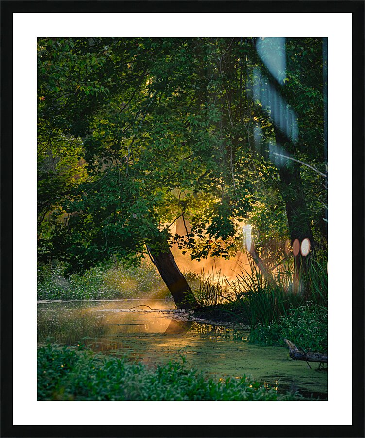 Morning Light Picture Frame print