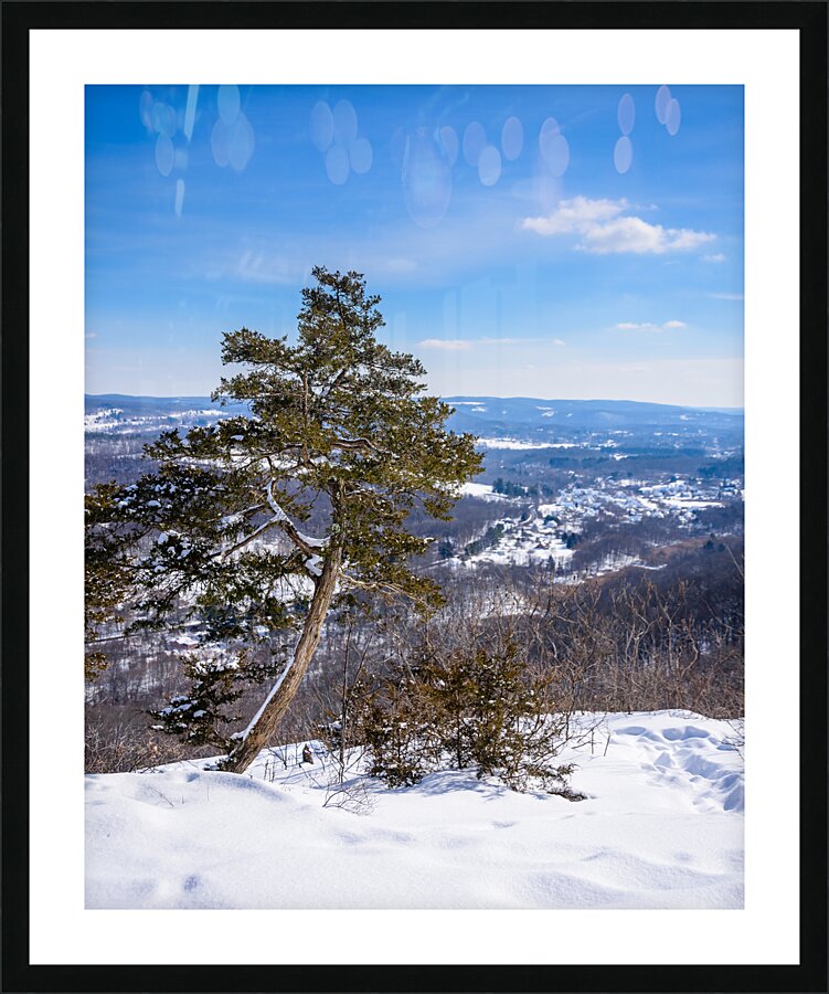 Winter Blues Picture Frame print