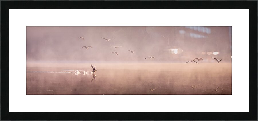 Cleared for Take off - Panorama Picture Frame print