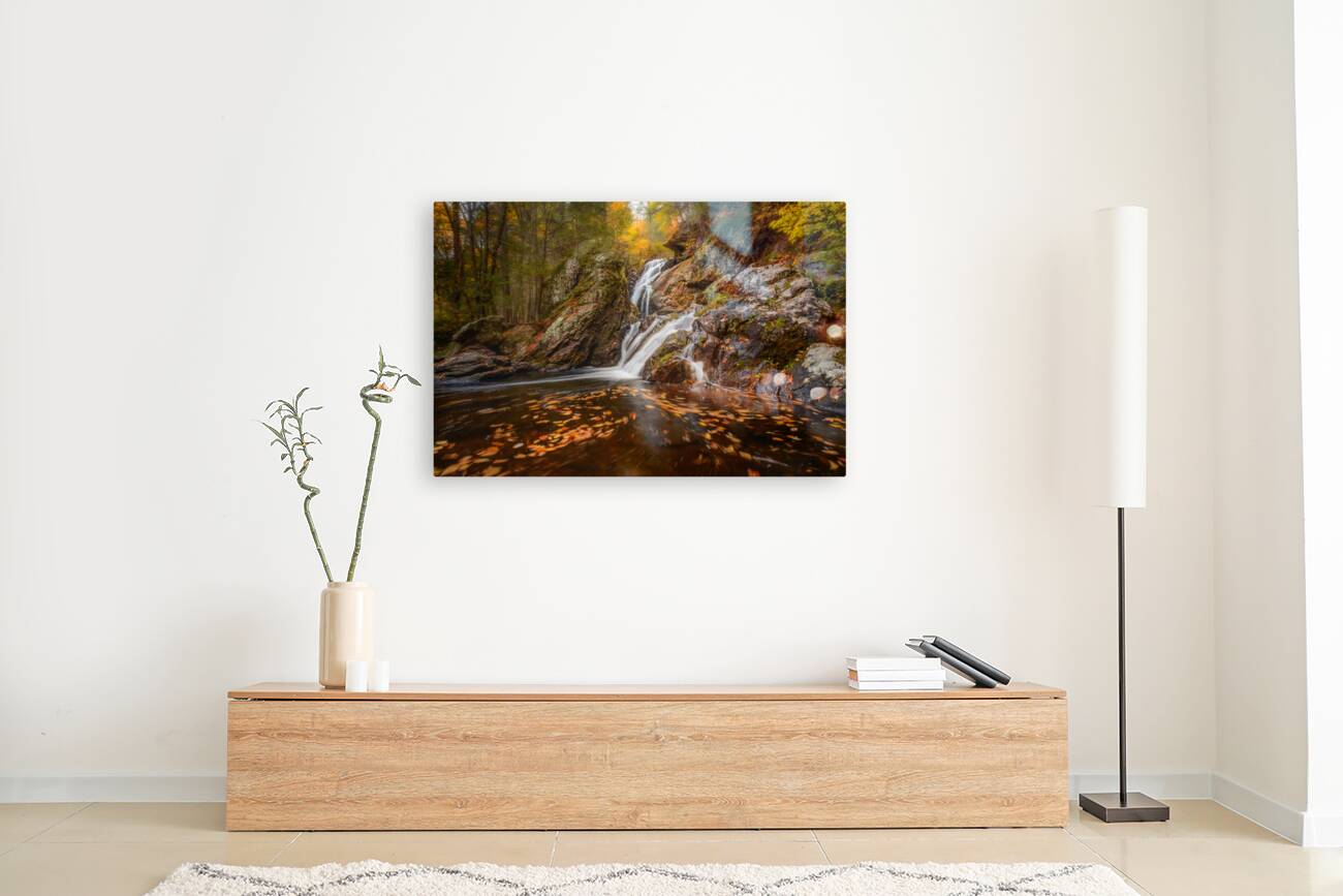 Campbell Falls Reproduction