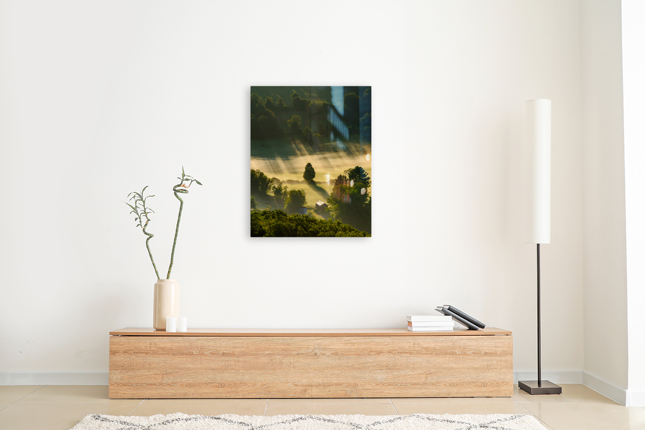 Alone in the Land Reproduction