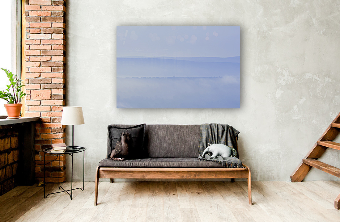 Eastern Blues Reproduction