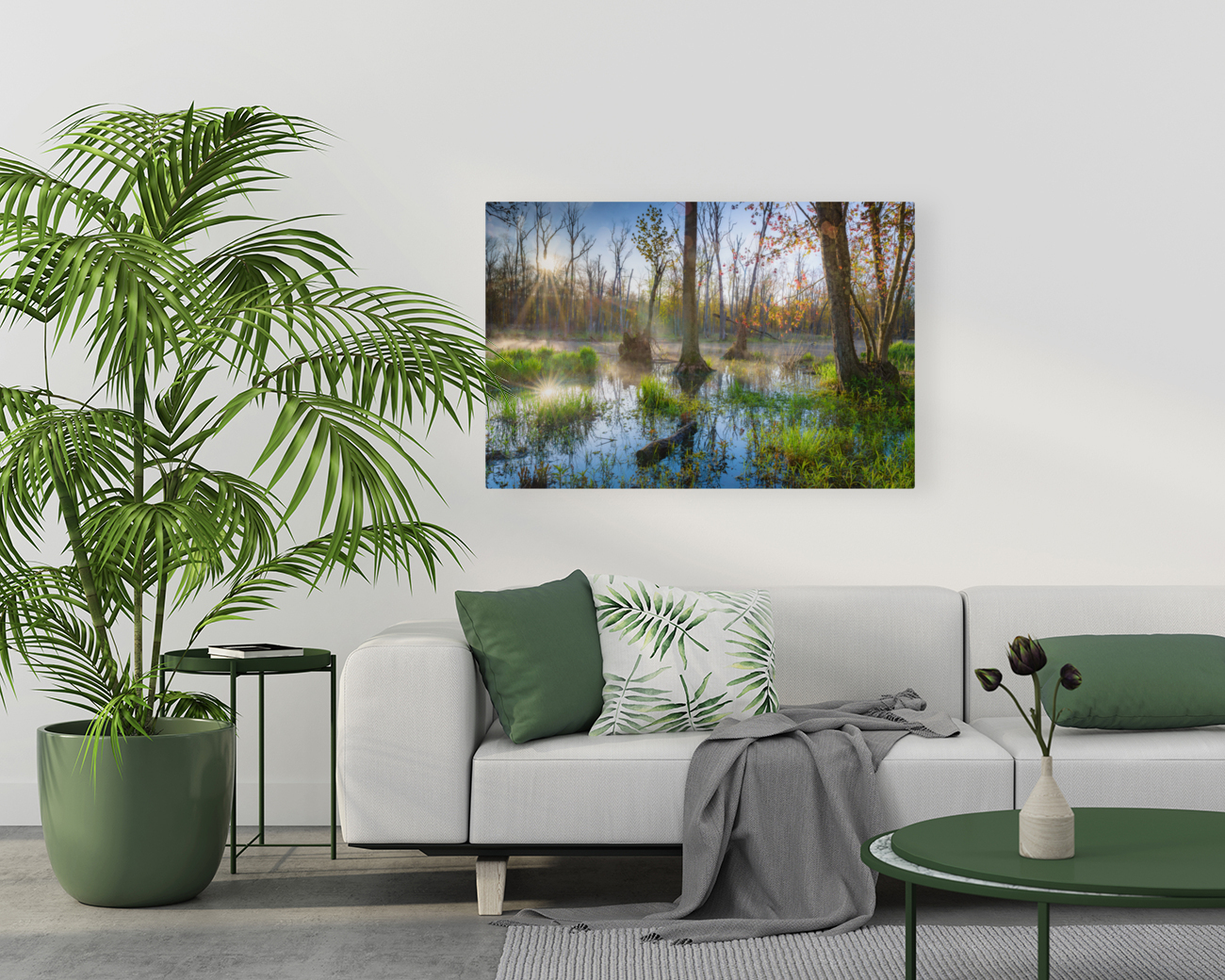 Sunbeams in the Swamp Reproduction