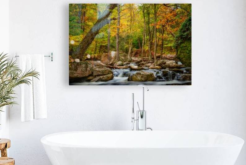 A Walk by the Creek by Jane Haslam