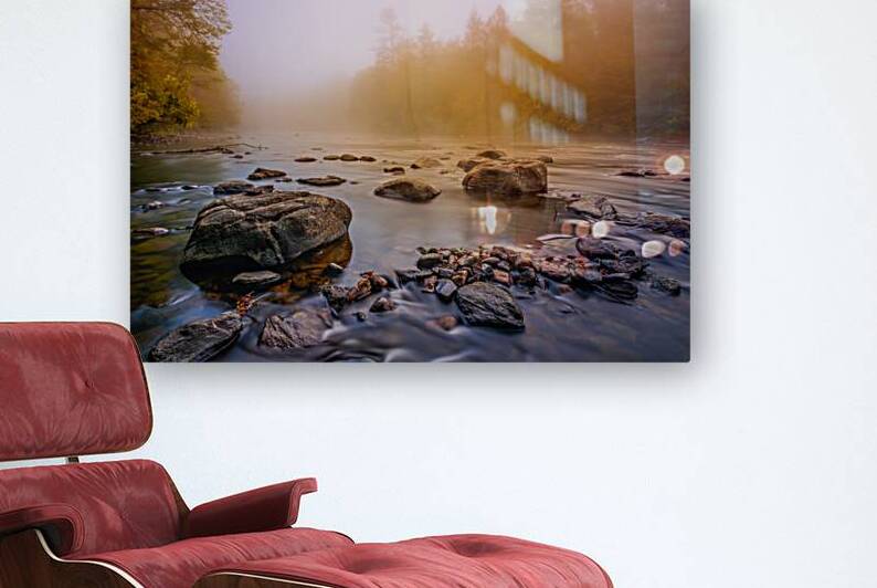 Foggy Daze by Jane Haslam