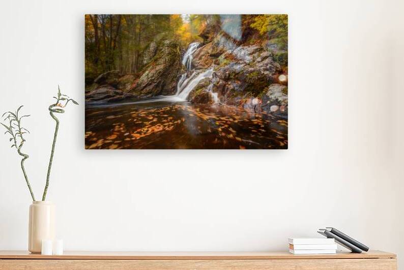Campbell Falls by Jane Haslam