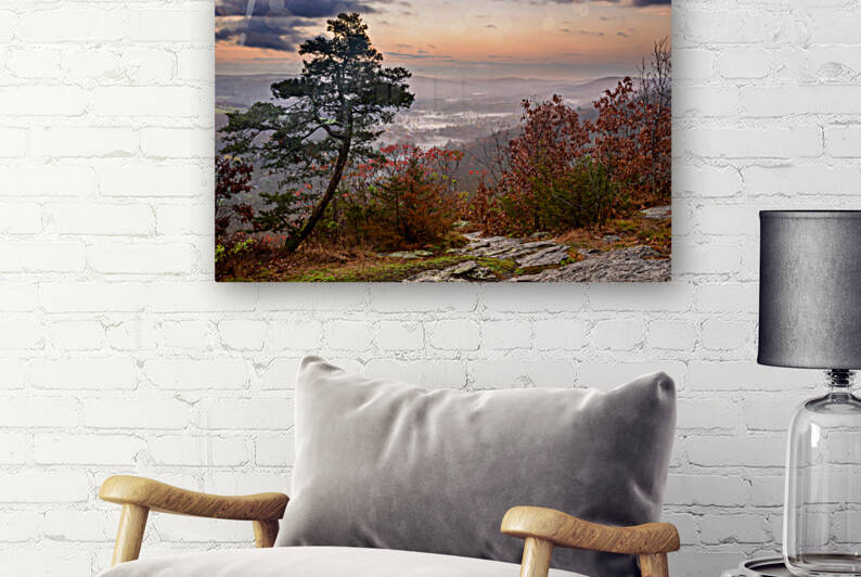 November Mornings by Jane Haslam