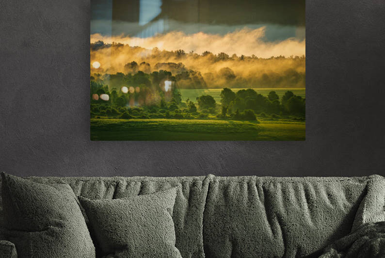 Patterns by Jane Haslam