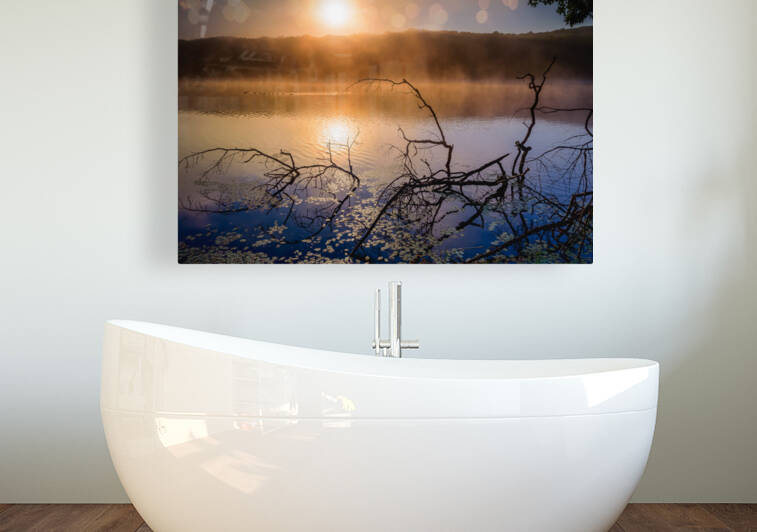 Morning Glow by Jane Haslam
