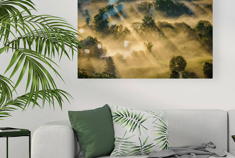 Patterns in the Mist 2 by Jane Haslam