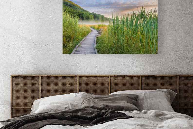Midsummer Mornings by Jane Haslam