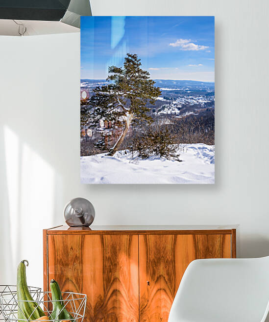Winter Blues by Jane Haslam
