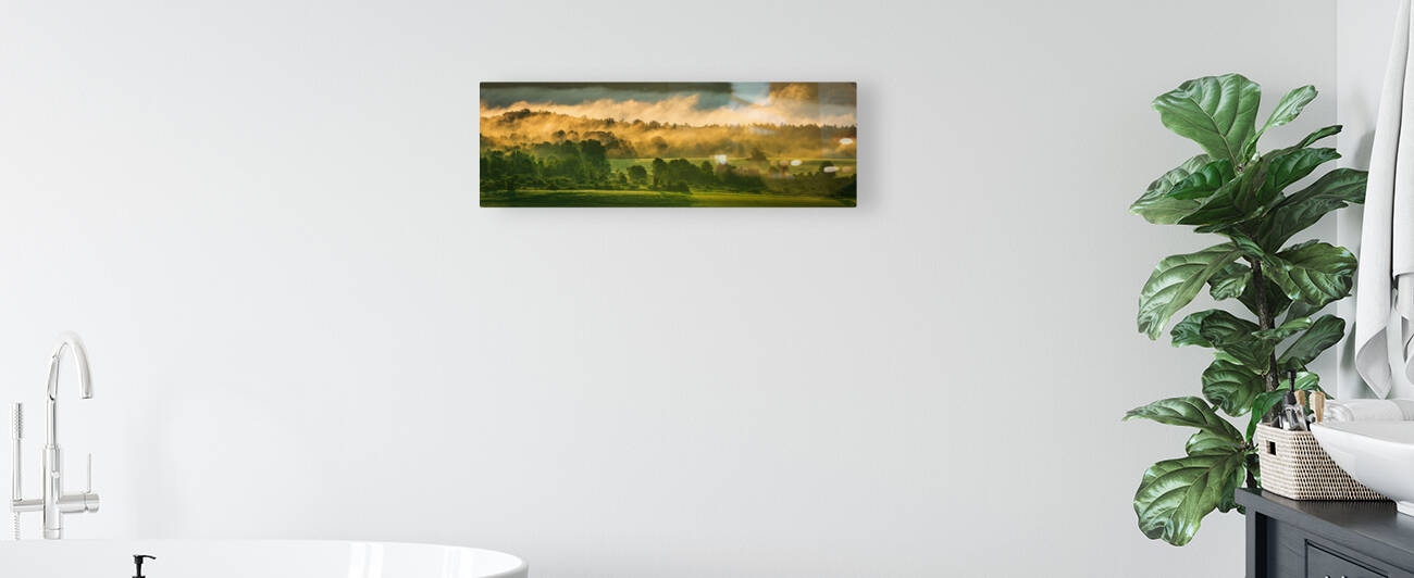 Patterns in the Morning - Panorama by Jane Haslam