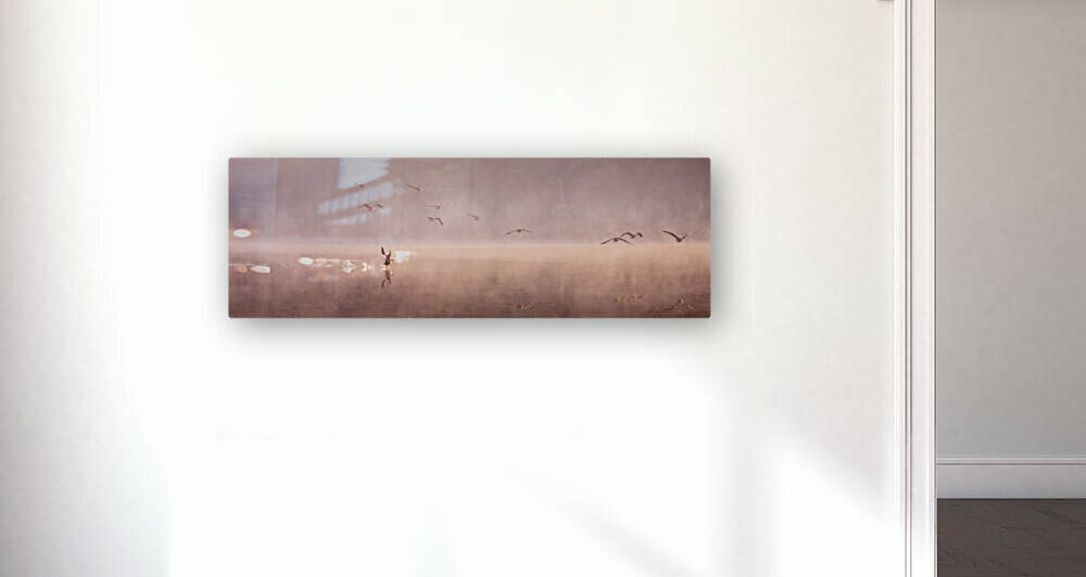 Cleared for Take off - Panorama by Jane Haslam