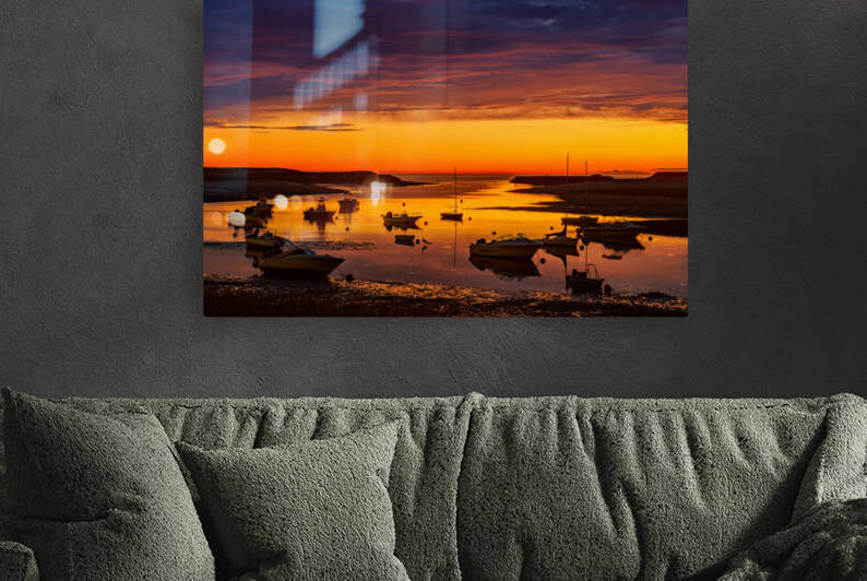 Pamet Harbor Gold by Jane Haslam