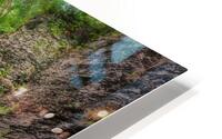 Cascading through the Gorge HD Metal print