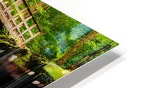 A Path into the Notch HD Metal print