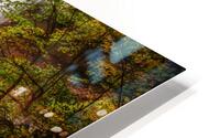 Autumn glory HD Metal print