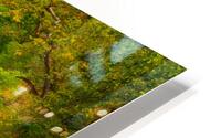 Housatonic Green HD Metal print