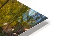 Here Comes the Light HD Metal print