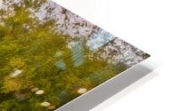 Morning Rush HD Metal print