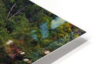Nuclear Lake HD Metal print