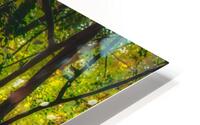 Sunbeams at Lakeside HD Metal print