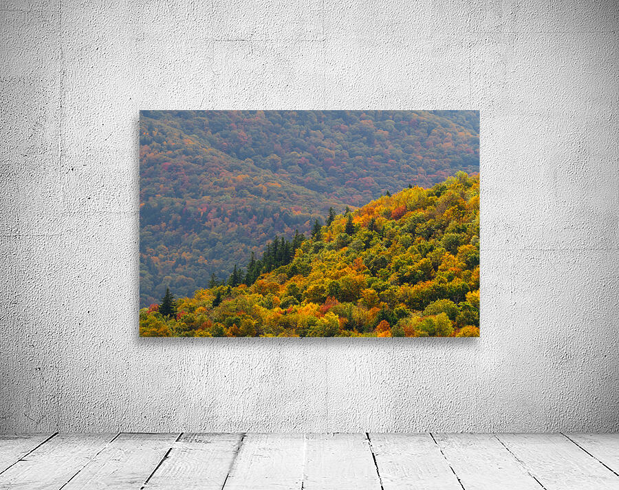 Fall in Spruceton Wall Preview