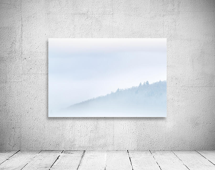 Winter mist Wall Preview