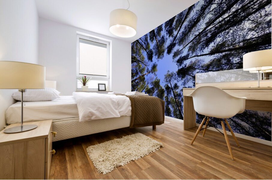 Pine Forest Skyward View Mural print