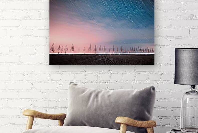The stars of stars above the rows of trees. by A MAX
